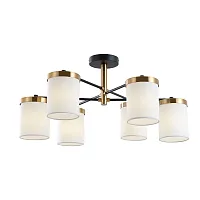 Люстра потолочная Modello A4099PL-6BK Arte Lamp белая на 6 ламп, основание чёрное в стиле современный 