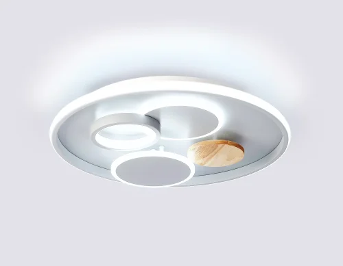 Светильник потолочный LED с пультом FL4803 Ambrella light серый 1 лампа, основание серое в стиле современный хай-тек с пультом фото 6