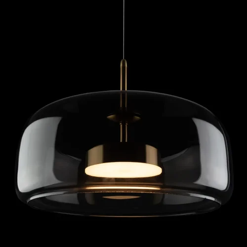 Светильник подвесной LED Dauphin 10041B LOFT IT чёрный 1 лампа, основание золотое в стиле современный выдувное фото 4
