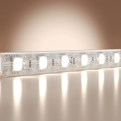 Светодиодная лента 24В 5050 14,4Вт/м 6000K 5м IP 65 201194 Maytoni цвет LED холодный белый 6000K, световой поток 1350Lm фото 3