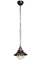Светильник подвесной Fontelo OML-50406-01 Omnilux прозрачный 1 лампа, основание коричневое в стиле кантри 