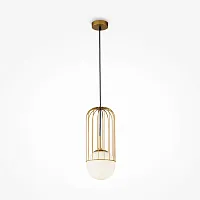 Светильник подвесной Telford P362PL-01G Maytoni белый золотой на 1 лампу, основание золотое в стиле современный 