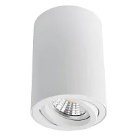 Светильник накладной Sentry A1560PL-1WH Arte Lamp белый 1 лампа, основание белое в стиле современный круглый