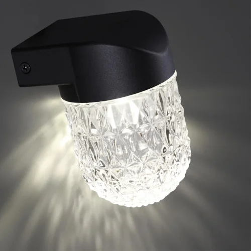 Настенный светильник уличный LED Estima 359295 Novotech уличный IP65 чёрный на 1 лампу, плафон прозрачный в стиле современный LED фото 4