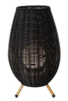 Ландшафтный светильник LED Colin Ip44 03843/36/30 Lucide уличный IP44 матовый золото латунь на 1 лампу, плафон чёрный в стиле кантри LED