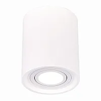 Светильник накладной St156 Gipsum ST156.502.01 ST-Luce белый 1 лампа, основание белое в стиле хай-тек круглый