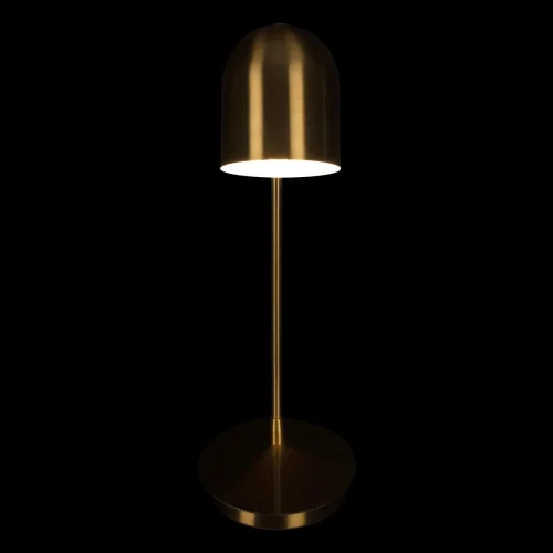 Настольная лампа Tango 10144 Gold LOFT IT золотая 1 лампа, основание золотое металл в стиле современный  фото 4