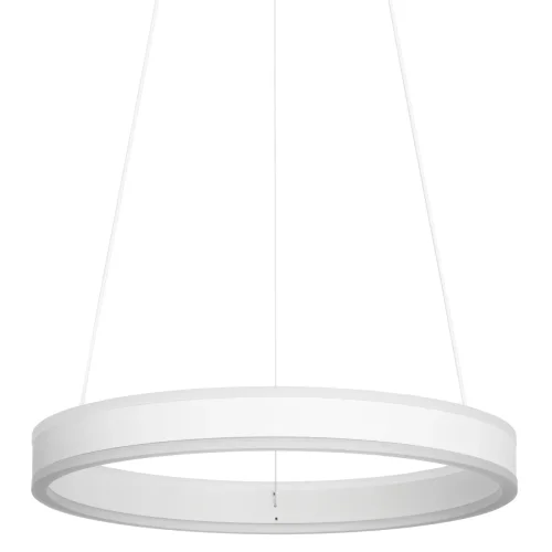 Светильник подвесной LED Дуэт CL719400 Citilux белый 1 лампа, основание белое в стиле хай-тек современный кольца фото 7