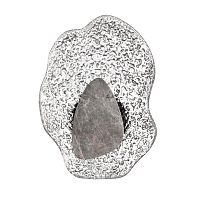 Бра LED Coralla 5461/12WLB Odeon Light прозрачный на 1 лампу, основание чёрное серое в стиле современный арт-деко флористика отражённый свет