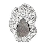 Бра LED Coralla 5461/12WLB Odeon Light прозрачный на 1 лампу, основание чёрное серое в стиле современный арт-деко флористика отражённый свет