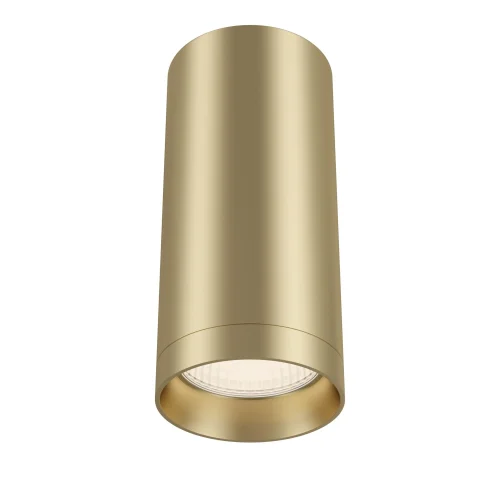 Светильник накладной Alfa C010CL-01MG Maytoni матовый золото 1 лампа, основание матовое золото в стиле современный хай-тек круглый