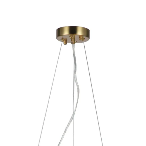 Люстра подвесная Philomela 3054-6P Favourite прозрачная на 6 ламп, основание медь в стиле классический птички фото 2