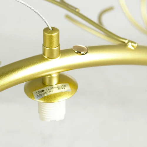 Люстра подвесная LSP-8749 Lussole белая на 6 ламп, основание матовое золото в стиле современный флористика  фото 6