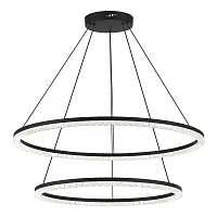 Светильник подвесной LED Euclidics SL1018.403.02 ST-Luce прозрачный на 1 лампу, основание чёрное в стиле хай-тек кольца