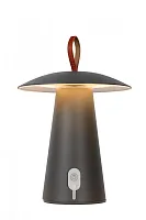 Ландшафтный светильник LED La Donna 27500/02/29 Lucide уличный IP54 чёрный 1 лампа, плафон чёрный в стиле современный LED