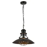 Светильник подвесной лофт Ketchikan GRLSP-8029 Lussole чёрный 1 лампа, основание хром в стиле лофт 