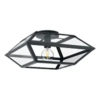 Светильник потолочный Casefabre 98357 Eglo прозрачный чёрный 1 лампа, основание чёрное в стиле современный 