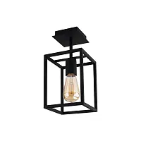 Светильник потолочный Crate 9045-NW Nowodvorski чёрный 1 лампа, основание чёрное в стиле современный 