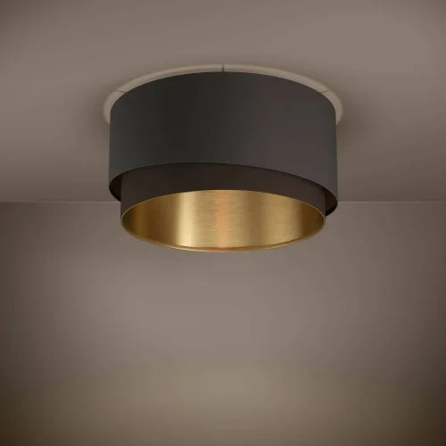 Светильник потолочный Manderline 39928 Eglo коричневый 1 лампа, основание коричневое в стиле современный  фото 2