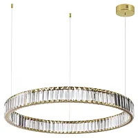 Светильник подвесной LED Vekia 5015/45L Odeon Light прозрачный 1 лампа, основание золотое в стиле современный кольца