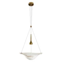 Светильник подвесной ЛЕД Либерти / Liberty acrylic 10552P LOFT IT бежевый на 1 лампу, основание бронзовое в стиле современный Светильник подвесной ЛЕД Либерти / Liberty acrylic 10552P LOFT IT бежевый на 1 лампу, основание бронзовое в стиле современный