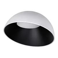 Светильник потолочный LED Egg 10197/500 WB LOFT IT белый на 1 лампу, основание чёрное белое в стиле современный круглый