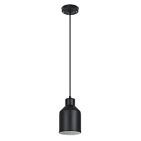 Светильник подвесной Lark A7073SP-1BK Arte Lamp чёрный на 1 лампу, основание чёрное в стиле лофт современный 