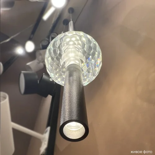 Светильник подвесной LED ELVIRA SP8W LED 4000K BLACK Crystal Lux прозрачный на 1 лампу, основание чёрное в стиле современный трубочки фото 4