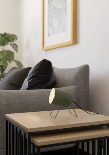 Настольная лампа Tilston 44136 Eglo зелёная на 1 лампу, основание зелёное металл в стиле современный лофт фото 5