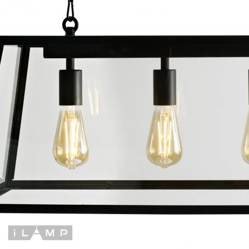 Люстра подвесная Glass Loft146-4 iLamp прозрачная на 4 лампы, основание чёрное в стиле лофт  фото 4