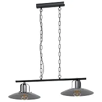 Светильник подвесной лофт Kenilworth 43204 Eglo никель 2 лампы, основание чёрное в стиле лофт 
