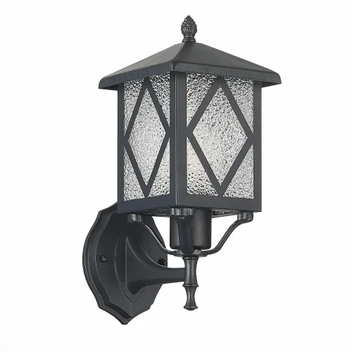 Настенный светильник Lorne SL084.401.01 ST-Luce уличный IP44 чёрный 1 лампа, плафон прозрачный в стиле современный E27 фото 3