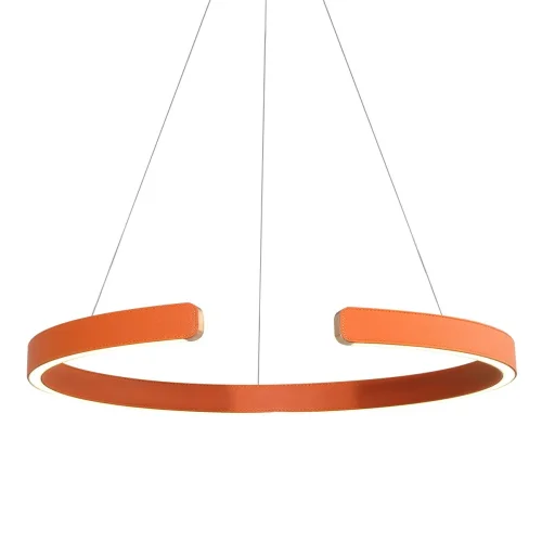 Светильник подвесной LED Ring 10025/600 Orange LOFT IT оранжевый 1 лампа, основание золотое в стиле современный хай-тек кольца фото 3