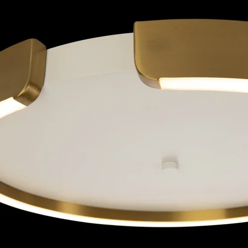 Светильник потолочный LED Circle 10026 LOFT IT белый матовый латунь 1 лампа, основание матовое латунь в стиле хай-тек современный  фото 5
