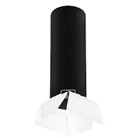 Светильник накладной Rullo R6497486 Lightstar чёрный белый 1 лампа, основание чёрное в стиле хай-тек круглый