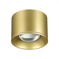 Светильник накладной LED Patera 358669 Novotech золотой 1 лампа, основание золотое в стиле хай-тек круглый