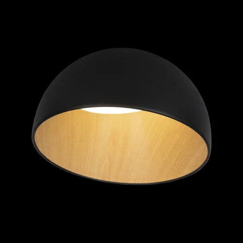 Светильник потолочный LED Egg 10197/350 Black LOFT IT белый чёрный коричневый 1 лампа, основание коричневое чёрное в стиле современный  фото 2