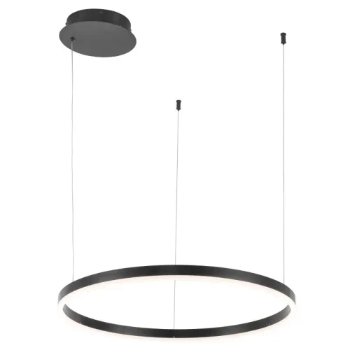 Светильник подвесной LED с пультом Planetary 4005/02/01P+CB Stilfort чёрный на 1 лампу, основание чёрное в стиле хай-тек современный с пультом кольца