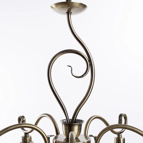 Люстра подвесная  SAFARI A6905LM-5AB Arte Lamp бежевая на 5 ламп, основание античное бронза в стиле кантри  фото 3