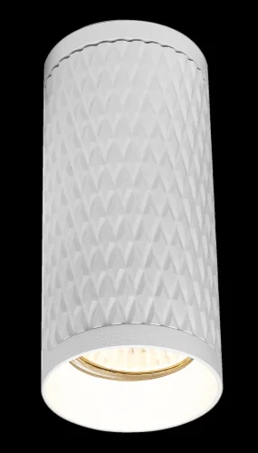 Светильник накладной Alfa C036CL-01W Maytoni белый 1 лампа, основание белое в стиле современный круглый фото 3