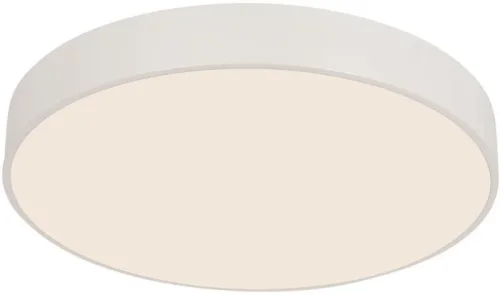 Светильник потолочный LED с пультом Arena 4685-8C F-promo белый на 1 лампу, основание белое в стиле современный круглый фото 4