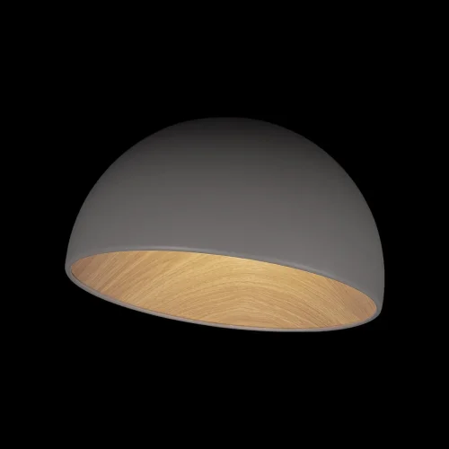 Светильник потолочный LED Egg 10197/350 Grey LOFT IT белый 1 лампа, основание серое в стиле современный  фото 4