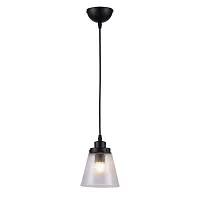 Светильник подвесной Borgo OML-51006-01 Omnilux прозрачный 1 лампа, основание чёрное в стиле кантри 