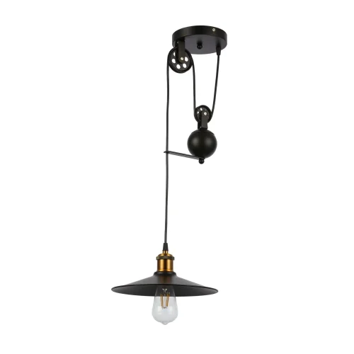 Светильник подвесной лофт Esperazza SLE120503-01 Evoluce чёрный 1 лампа, основание чёрное в стиле лофт  фото 2