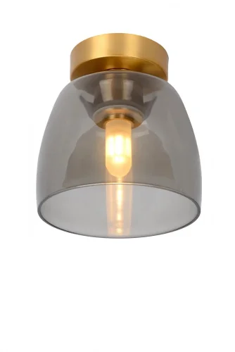 Светильник потолочный Tyler 30164/01/02 Lucide прозрачный серый 1 лампа, основание матовое золото в стиле современный 