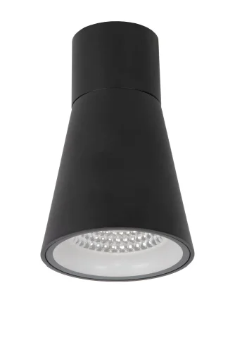 Накладной светильник LED Derby 28800/07/30 Lucide уличный IP54 чёрный 1 лампа, плафон чёрный в стиле современный LED фото 2