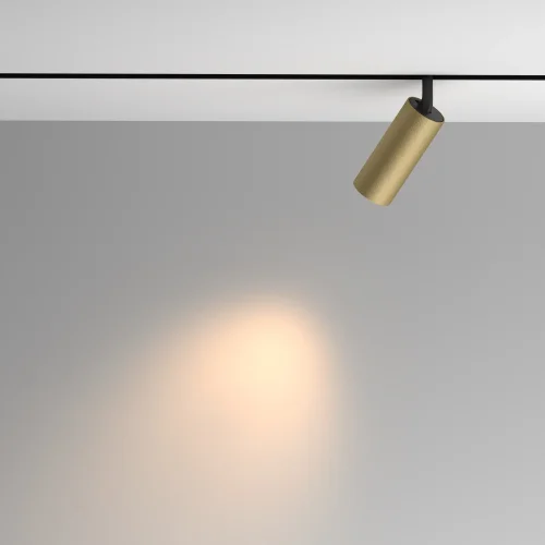 Трековый светильник LED Magnetic track system Exility TR097-2-12W3K-M-BMG Maytoni матовый золото для шинопроводов серии Magnetic track system Exility чёрный фото 4