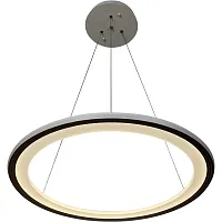 Светильник подвесной LED с пультом Hoop 2087/81/01C Stilfort серый 1 лампа, основание серое в стиле хай-тек с пультом