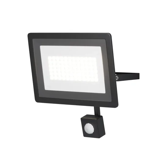 Прожектор LED с датчиком движения Flood FL001-L50B4KSR Maytoni уличный IP чёрный 1 лампа, плафон прозрачный в стиле хай-тек современный LED фото 4