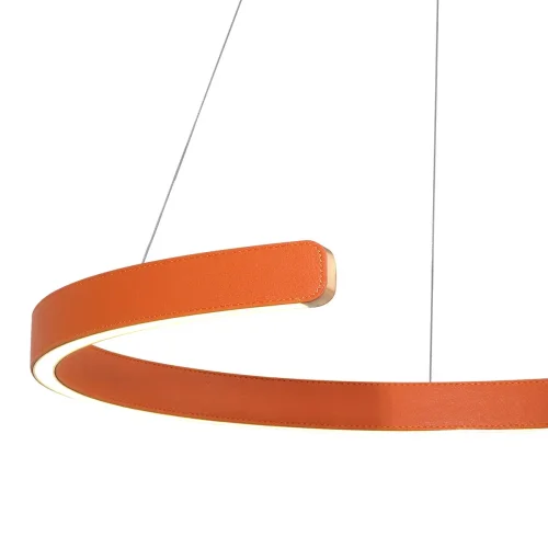 Светильник подвесной LED Ring 10025/600 Orange LOFT IT оранжевый 1 лампа, основание золотое в стиле современный хай-тек кольца фото 4